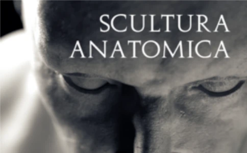 Scultura anatomica con Blender